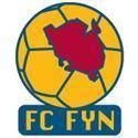 FC菲恩 logo